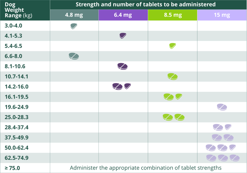 Zenrelia Simple prescribing Oncedaily for itchy dogs